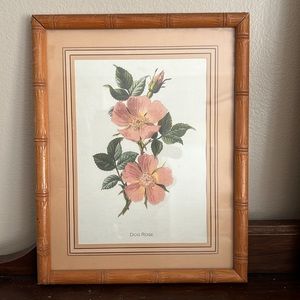 VTG Framed Botanical Image